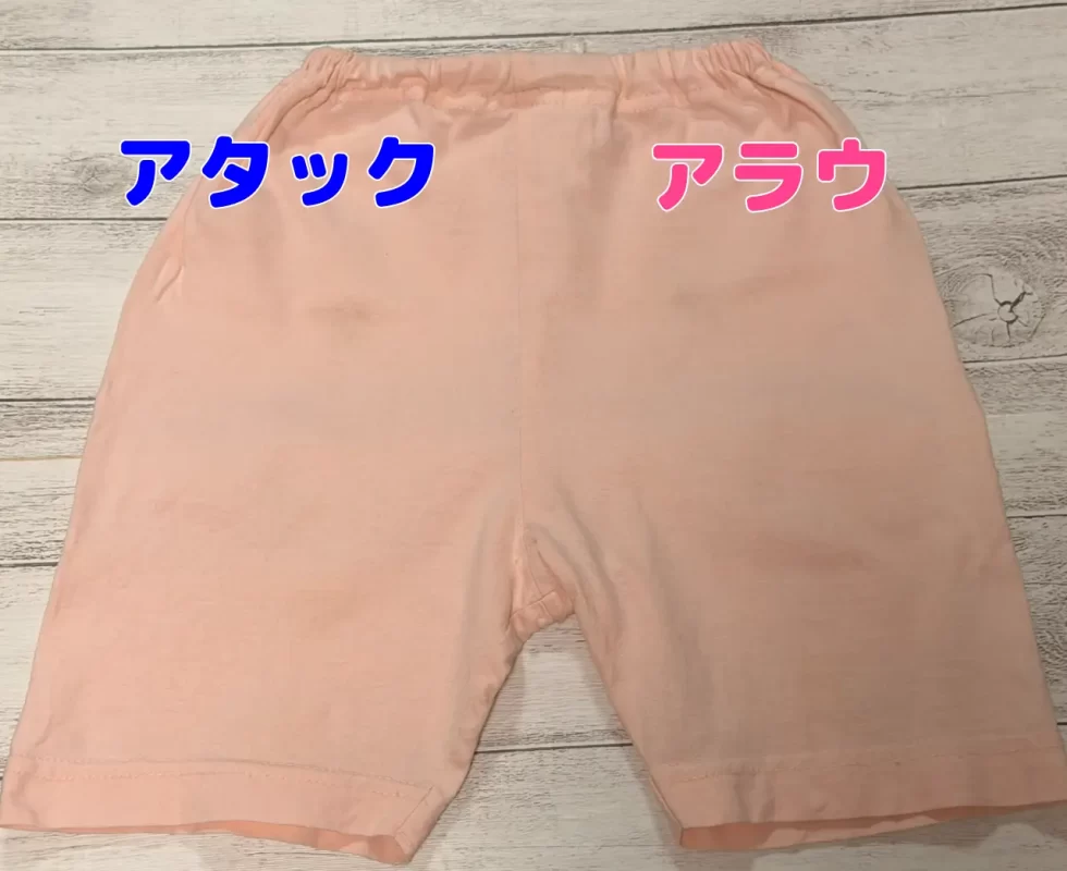 乾かした後の検証写真